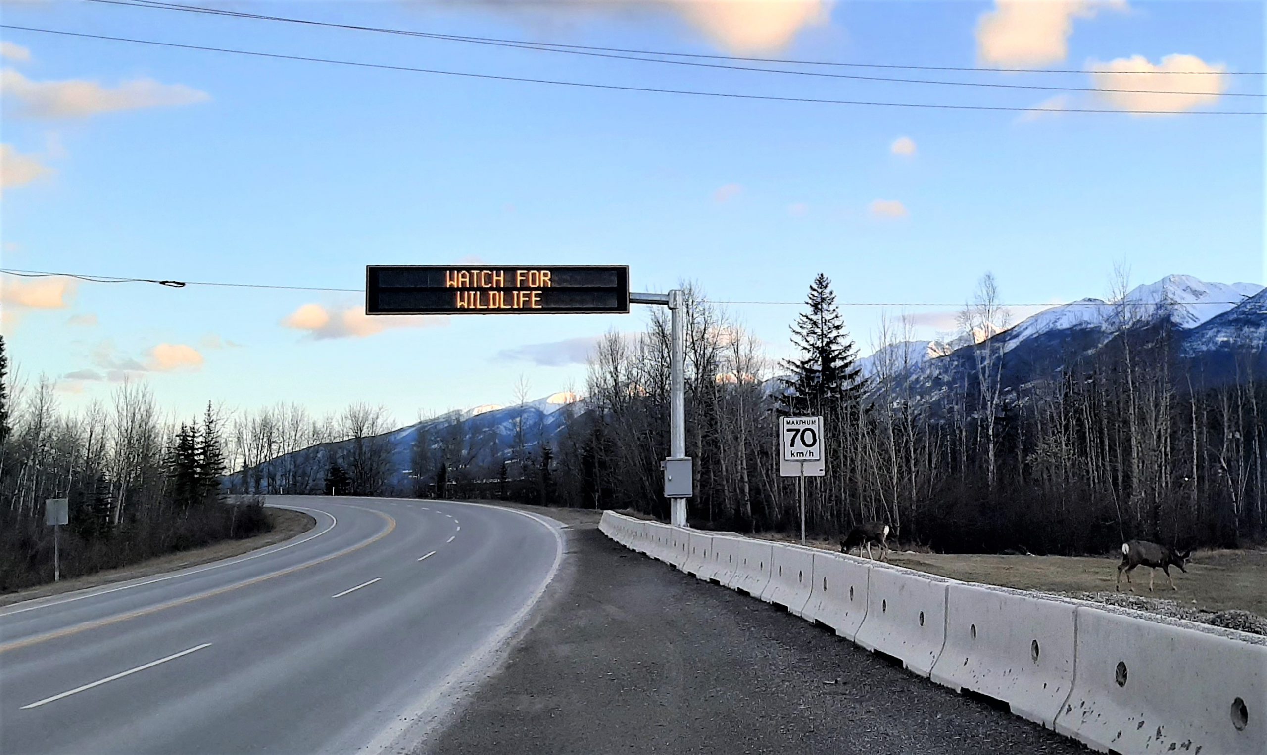 Alternate Route Kicking Horse